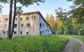 Apartment Alpina